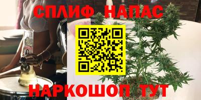 PSILOCYBIN Гусиноозёрск