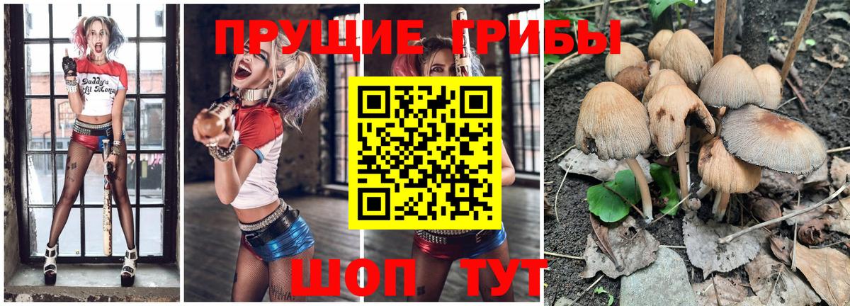 Галлюциногенные грибы мухоморы Моздок
