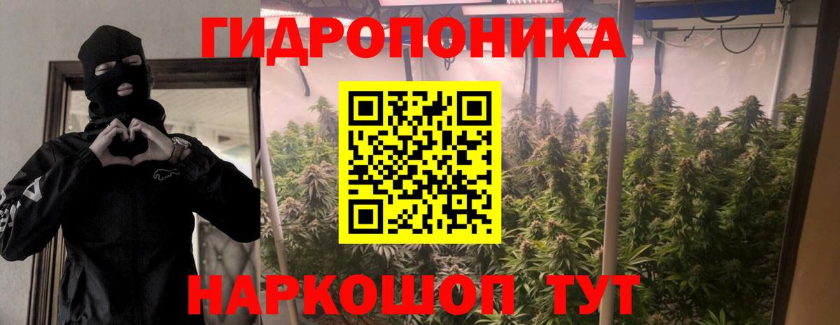 Каннабис White Widow Моздок